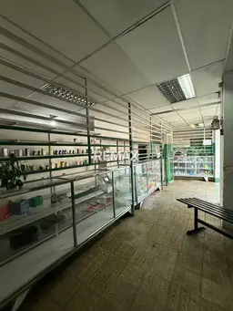 Vista 4