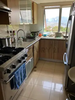 Vista 4