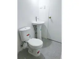 Vista 10