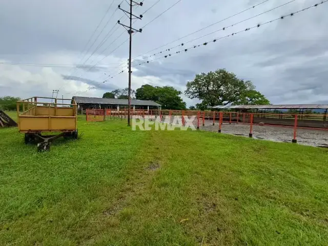 SE VENDE FINCA EN SANTO DOMINGO