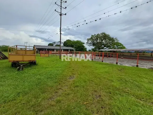 SE VENDE FINCA EN SANTO DOMINGO