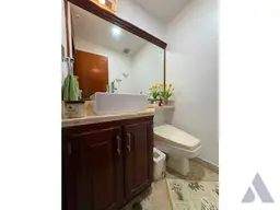 Vista 13