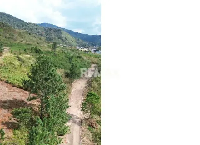 SE VENDEN PARCELA N19 Ó TERRENO EN EXCLUSIVA Urbanización Tachira Country, Calle 1 , Pirineos II - 6