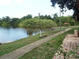 View 19