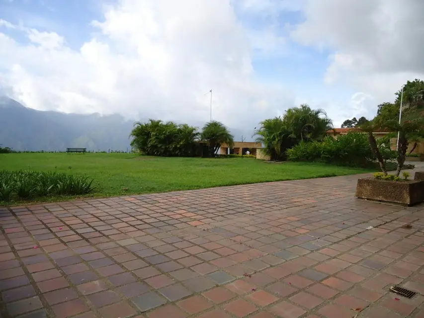 Apartamento (1 Nivel) en Venta en Los Naranjos del Cafetal, Distrito Metropolitano - 36
