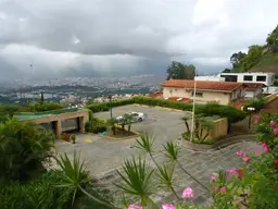 Vista 39
