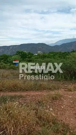View 1