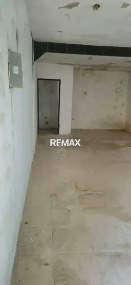 Vista 5