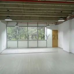 Vista 4