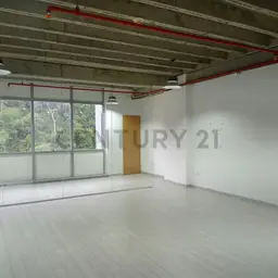 Vista 6