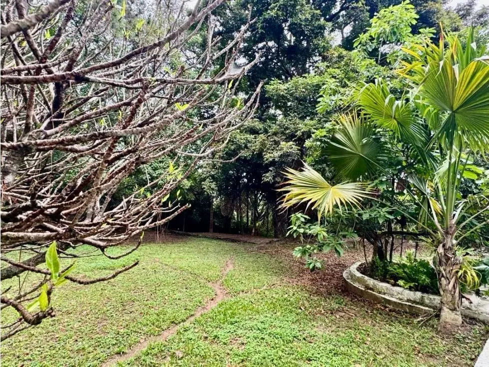 Se vende terreno R5 8.816m2 Los Chorros - 4
