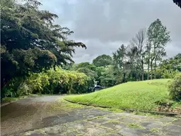 View 8
