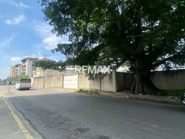 Terreno en Venta - San Jacinto - 2