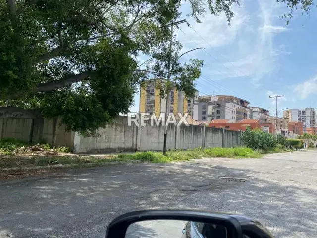 Terreno en Venta - San Jacinto - 4