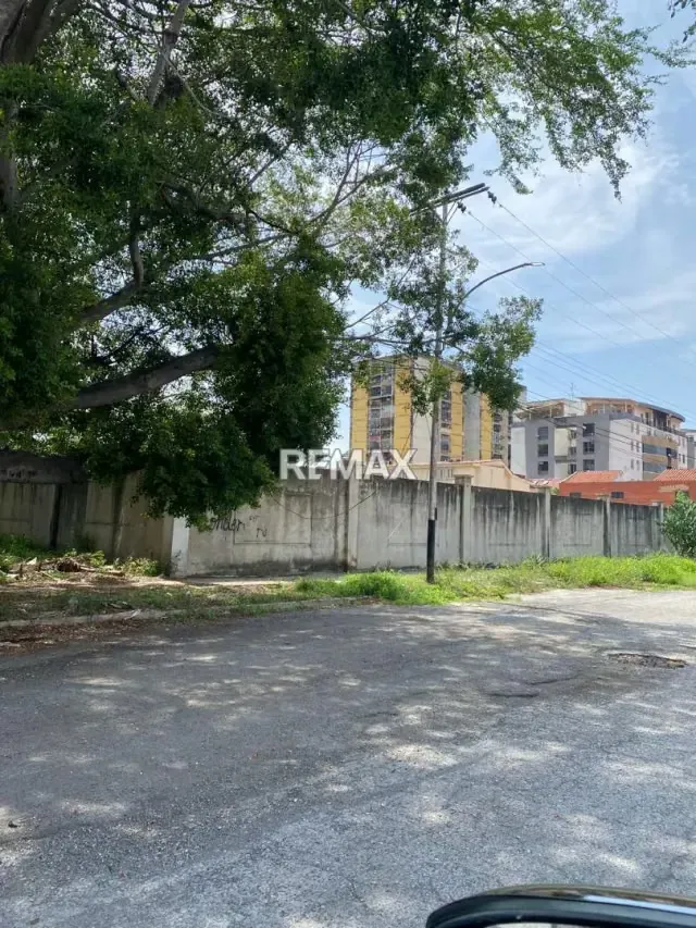 Terreno en Venta - San Jacinto - 5