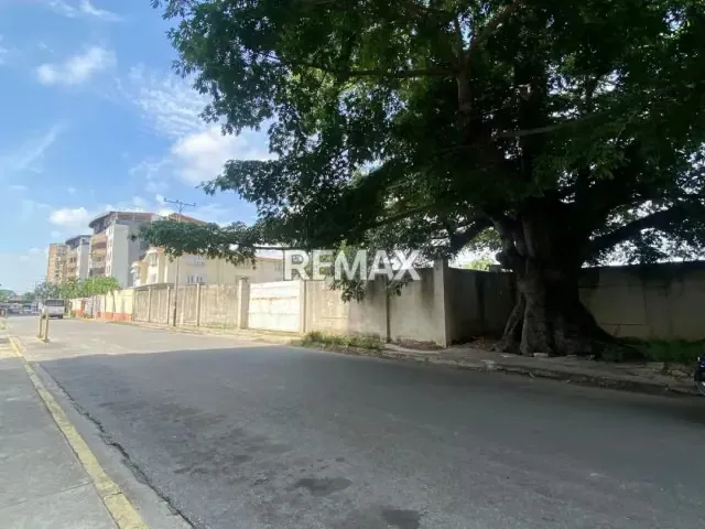 Terreno en Venta - San Jacinto - 6