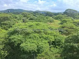 View 17