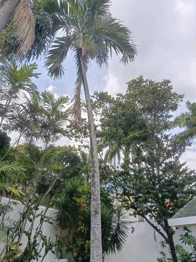 Los chorros Venta Casa - 16