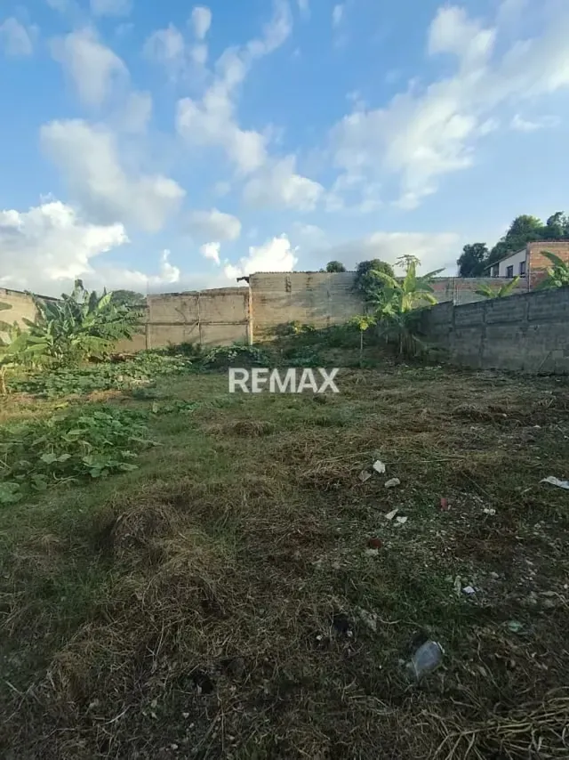 En Venta terrno en El Sector El Paraiso en La Hoyada Municipio San Rafael de Carvajal