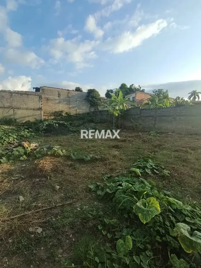 En Venta terrno en El Sector El Paraiso en La Hoyada Municipio San Rafael de Carvajal - 4
