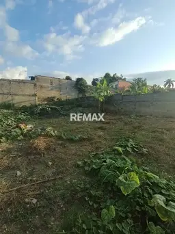 View 4
