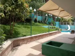 Vista 31