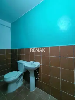 Vista 4