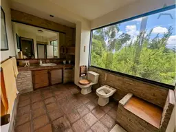 Vista 5