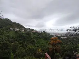 View 49