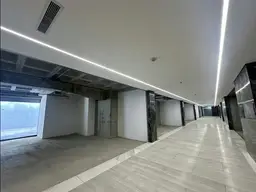 Vista 5