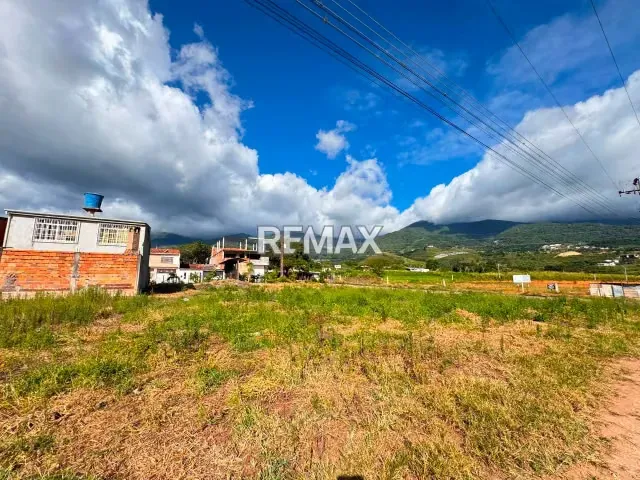 Venta lote de terreno Ubicado en altos de Paramillo - 3