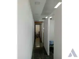 Vista 5