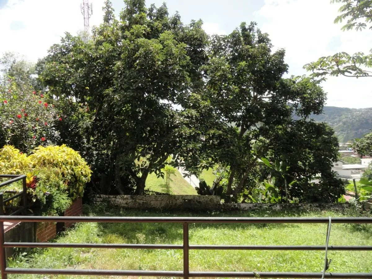 Apartamento en Venta Urb Los Picachos Los Teques - 18