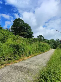 View 1