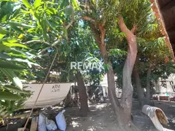 View 13