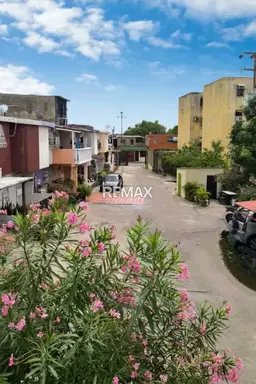 Vista 1
