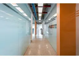 Vista 19
