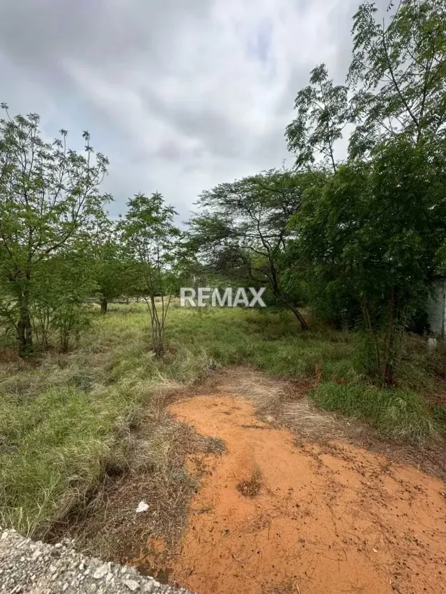 Terreno en Zona Industrial Sur I etapa - 5