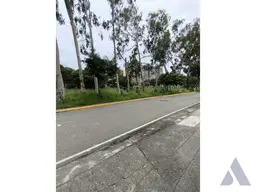 Vista 2