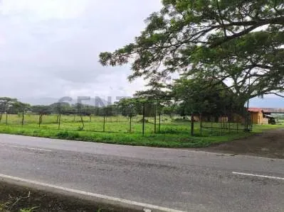FINCA AGROINDUSTRIAL EN VENTA MONTALBAN - 2
