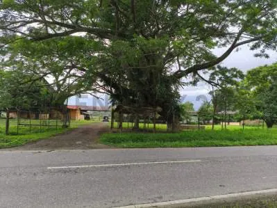 FINCA AGROINDUSTRIAL EN VENTA MONTALBAN - 3