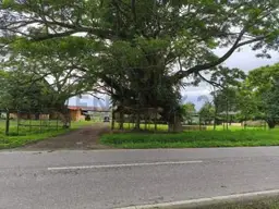 View 3