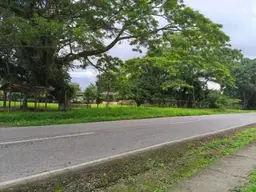 View 5