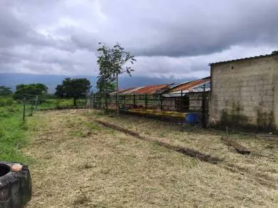 FINCA AGROINDUSTRIAL EN VENTA MONTALBAN - 9