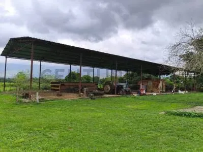 FINCA AGROINDUSTRIAL EN VENTA MONTALBAN - 10