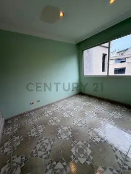 Vista 24