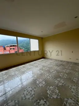Vista 29