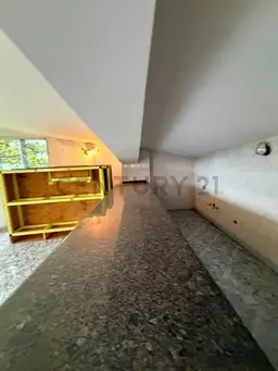 Vista 37