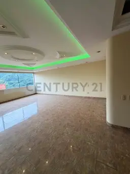Vista 4