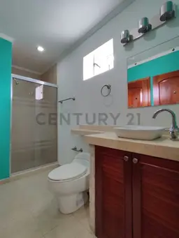 Vista 20